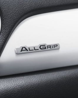 Dashboard Emblem ‘Allgrip’